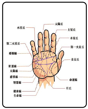 手相学视频_手相算命视频_断掌手相视频