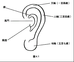 耳朵面相算命图解大全_尖耳朵的面相图解_面相耳朵图解
