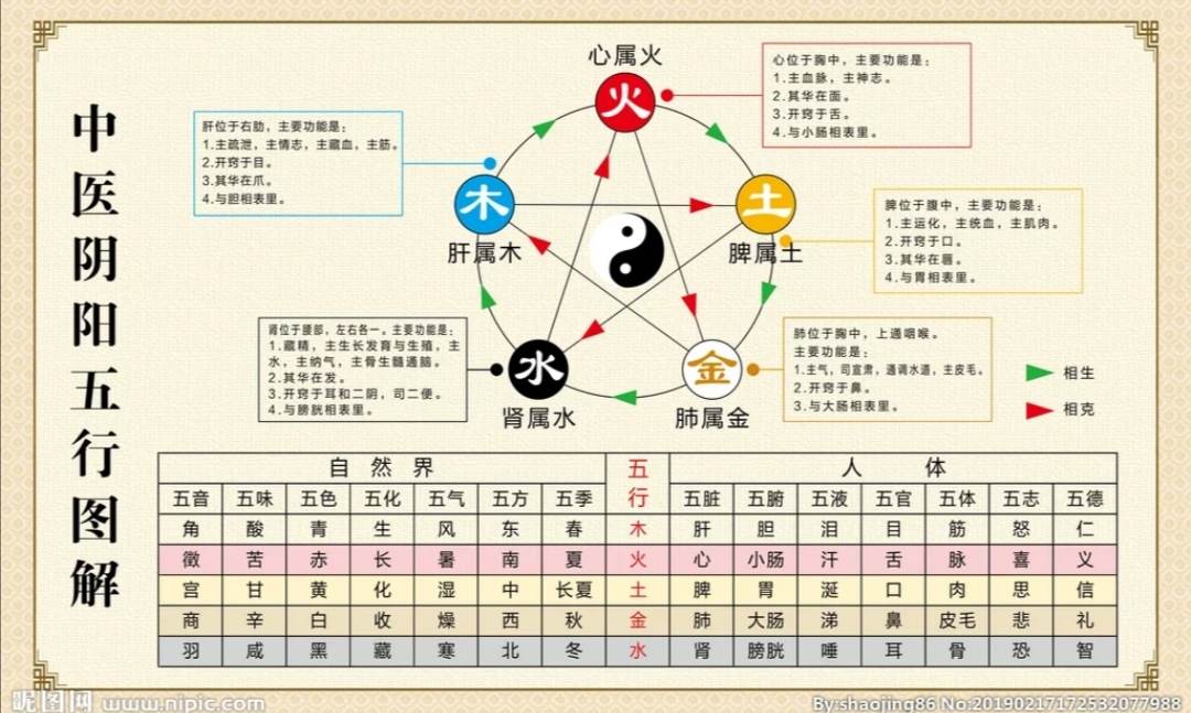 五行阴阳传txt下载_中医五行原理和天地五行原理一致吗_中医阴阳五行学说