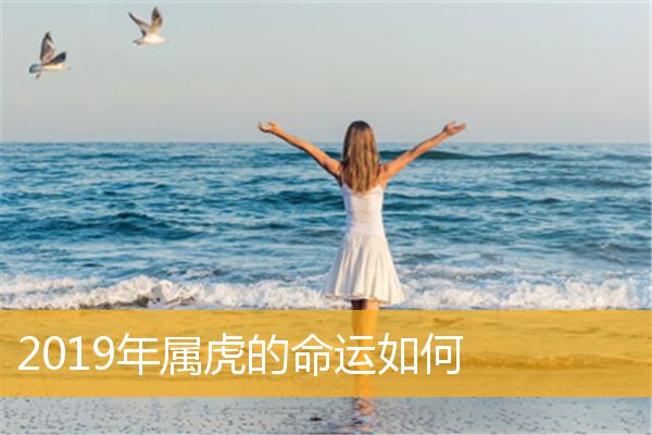 属虎的运气如何 2024年属虎的命运如何