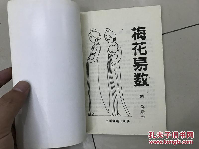 梅花易数初学_梅花国画初学入门画法_水墨画图片简单 初学梅花