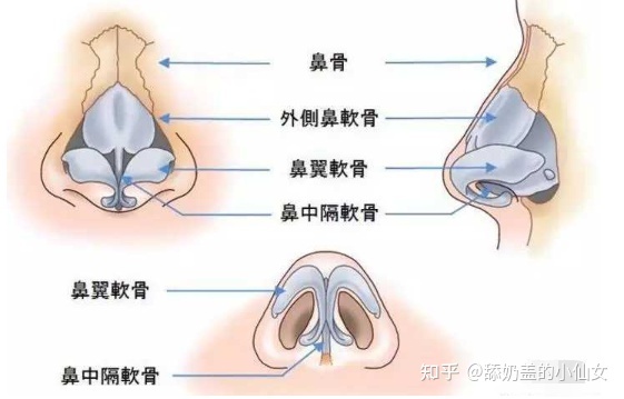 女人鼻大的相学_黄蜂腰女人相学_女人大脸大面相学