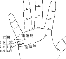 女手相算命图解大全_离婚女手相图解_手相图解大全女感情线