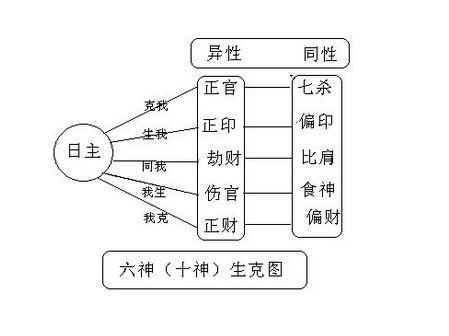 八字地支十神查询 八字十神表(八字十神表格)