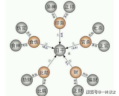 天干十神地支十神区别_八字查询十神_八字地支十神查询