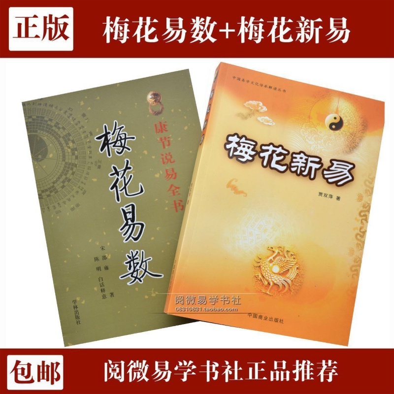 六爻梅花易卦例精解pdf_六爻梅花易卦例精解-贾双萍_梅花易数外卦与内卦