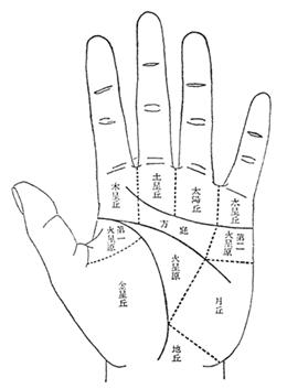手掌纹算命