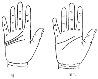 手掌纹算命