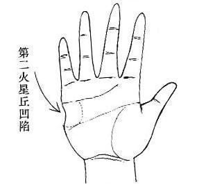 
一下:手掌和手掌纹的信号
