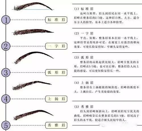 耻骨肌和耻骨梳韧带_门槛很高很高阅读后感_耻骨很高相学