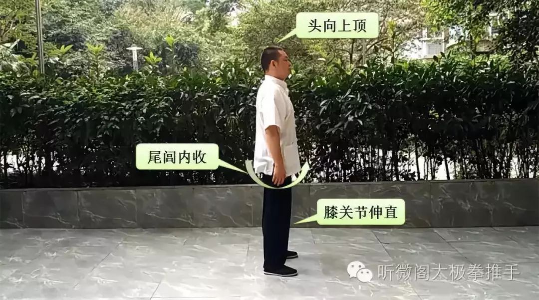 无极与太极的关系_无极太极两仪四象八卦_太极者无极而生