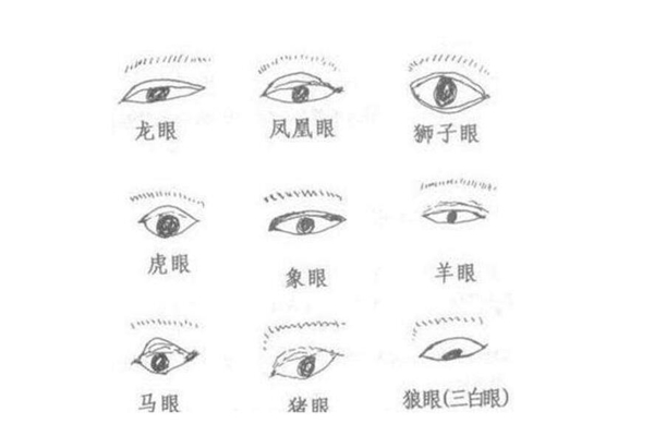 面相学眼睛代表什么_眼睛面相好的眼睛_眼睛凹陷的面相