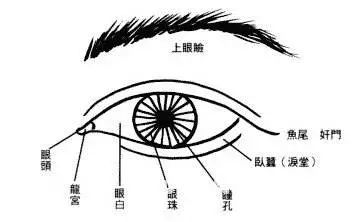 面相 鼻子代表_面相眼睛有神_面相学眼睛代表什么