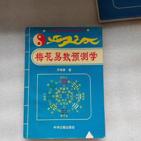 梅花占_洛书九数方位_梅花易数占失物方位案例