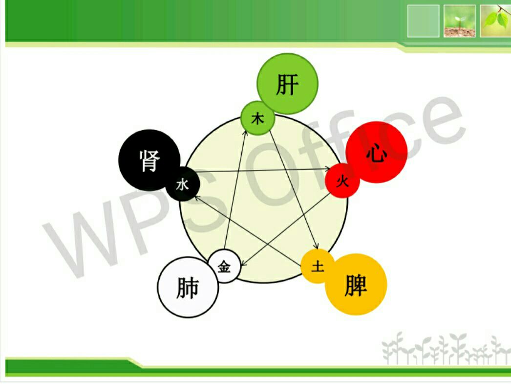 少阴_前运乘阴少种树_男人喜欢女人阴毛多还是少