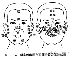 没有耳廓的耳朵 面相_男人左下巴有大痣长毛 面相_耳廓上长毛面相学