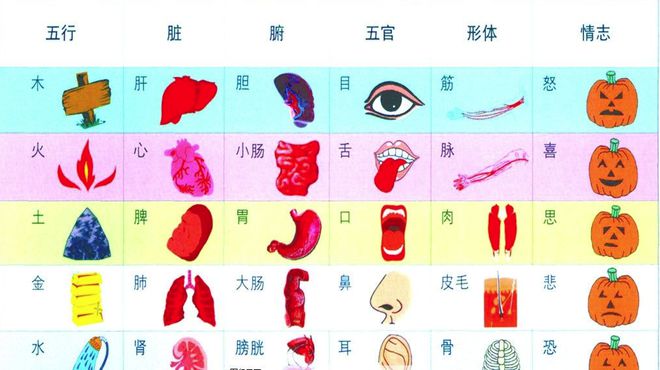 五行代表的器官_五行器官_第一个字五行属土第二个字五行属金 名字有哪些