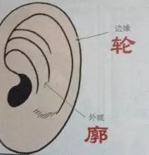 耳朵相学分析_一个耳朵有折痕相学_耳朵面相分析图解