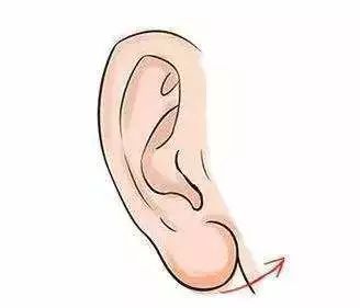 耳朵面相分析图解_耳朵相学分析_一个耳朵有折痕相学