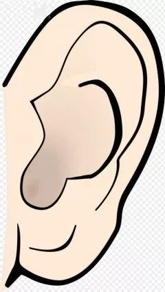 一个耳朵有折痕相学_耳朵面相分析图解_耳朵相学分析