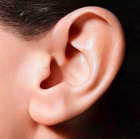 耳朵面相分析图解_一个耳朵有折痕相学_耳朵相学分析