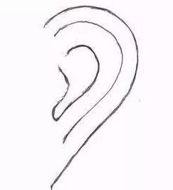 耳朵面相算命图解大全_耳朵反骨的男孩面相_耳朵大 面相