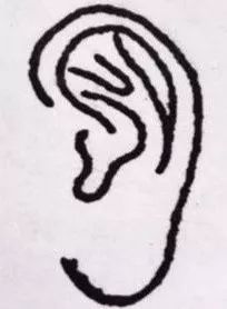 男人面相之耳朵图解_耳朵大 面相_耳朵招风耳面相特征