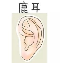 耳朵招风耳面相特征_男人面相之耳朵图解_耳朵大 面相