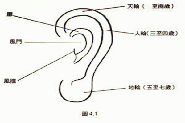 耳朵大 面相_耳朵长痣面相图解_面相耳朵图解