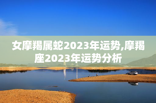 女摩羯属蛇2023年运势,摩羯座2023年运势分析