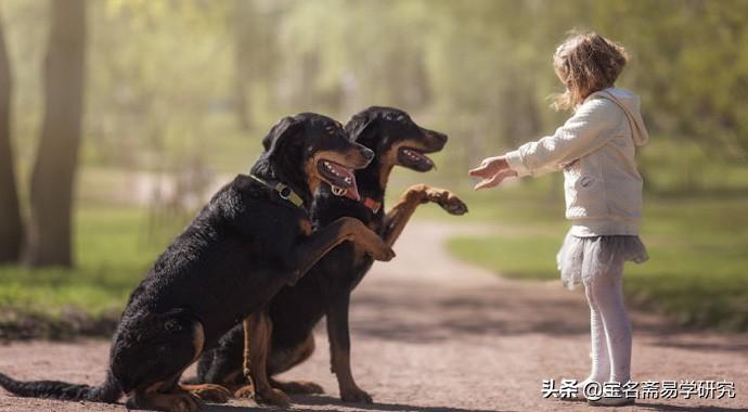 方位属相及五行属性_五行属土的字有哪些 起名五行属土的文字寓意大全_文字五行属什么属性