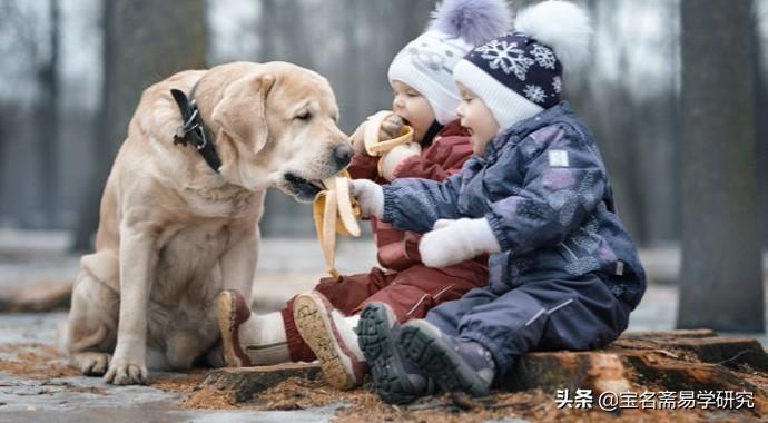 五行属土的字有哪些 起名五行属土的文字寓意大全_文字五行属什么属性_方位属相及五行属性