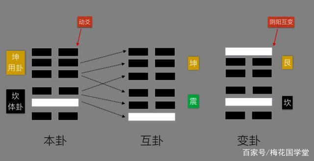 易象延-易象及其延伸_易经由象数推理_梅花易数象意