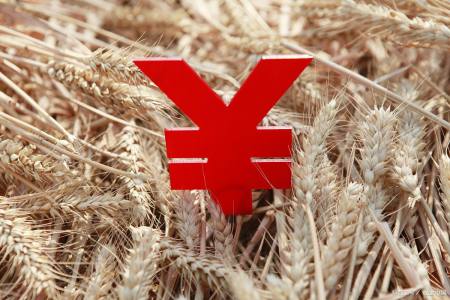 2014年10预测月山东滨州小麦今日价格_小麦价格行情预测_小麦价格预测周易