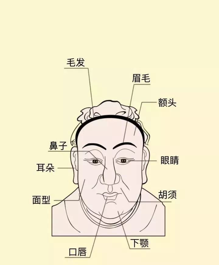 命由己造，相由心生一个人的五官端正，不仅会人际关系比较好