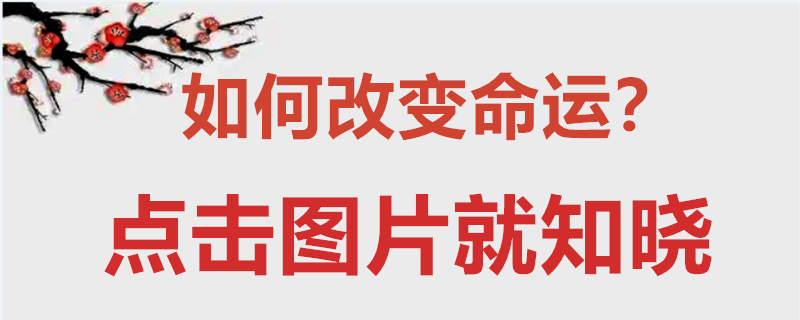 属牛人2018年运势运程每月运程_1983属猪2023年每月运势及运程_属猪人2019年运势运程每月运程