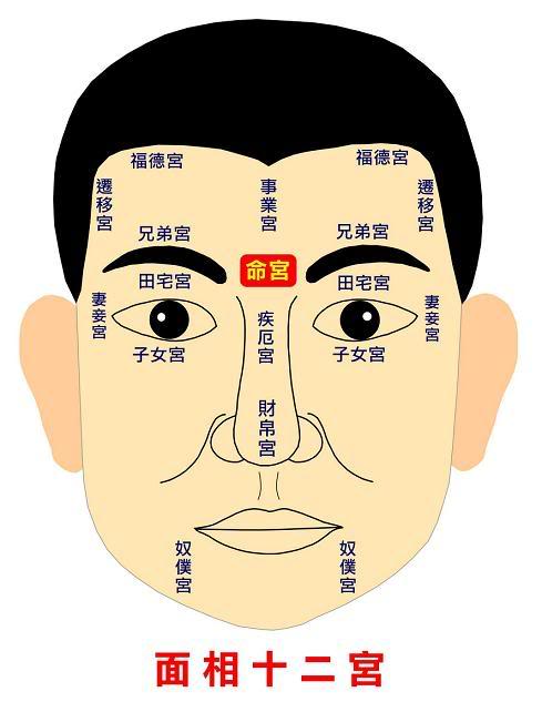 人中长的男人面相图解_人中男人面相算命图解_男人人中深长面相