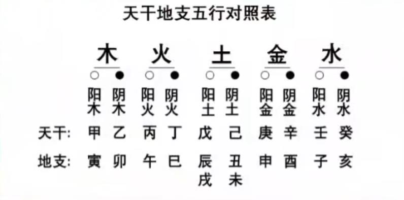 属猪的五行属性是什么_璐五行属什么属性_属羊的五行属什么属性属性