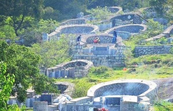 办公室风水植物大全,办公室风水植物布局知识_如何破坏风水布局_南京风水被破坏