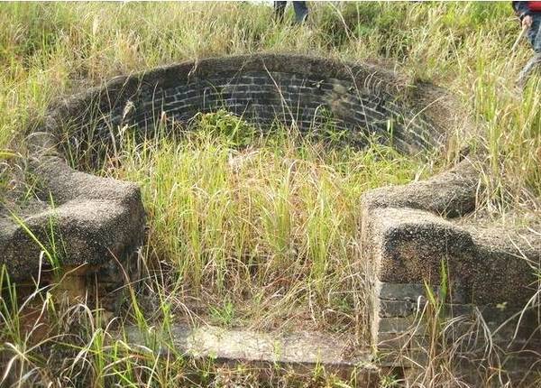 南京风水被破坏_办公室风水植物大全,办公室风水植物布局知识_如何破坏风水布局