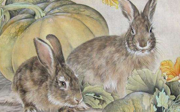 兔和鸡属相能配夫妻吗_属鼠和属兔的配吗_红米闹特二高配版安兔兔跑分