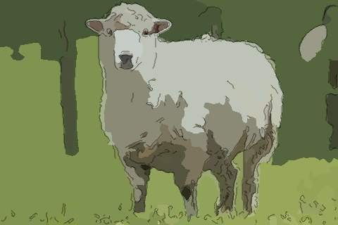 属羊男女牛配吗_羊男女牛是否合适_属牛男和属羊女合适吗