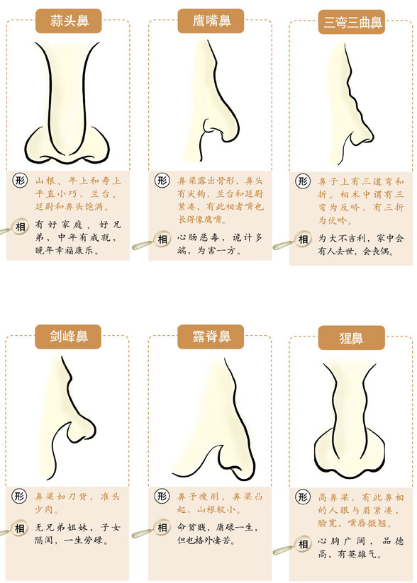 鼻子下端高于耳朵下端面相_面相鼻子耳朵下面有痣_耳朵在鼻子下面面相