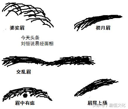 眉毛相面术图解_眉毛面相分析图解_看眉毛面相大全图解法