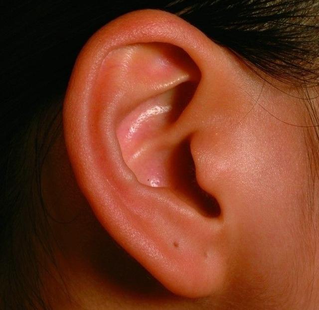 面相之耳朵相法_面相耳朵与命运图解_面相分析耳朵