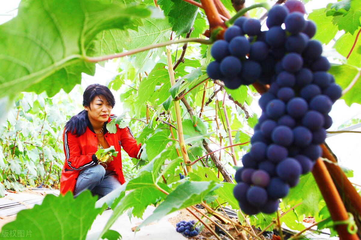 地雷复卦什么意思_地雷复卦解释_卦象地雷复详解